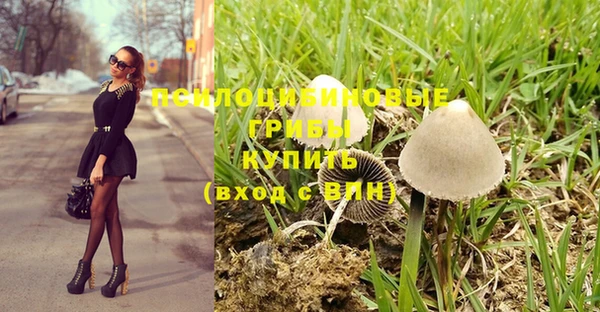 СК Армянск