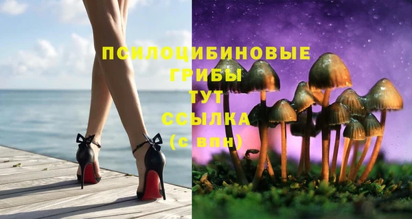 спиды Аркадак