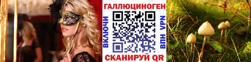 Купить закладки  Велиж  Галлюциногенные грибы Psilocybine cubensis 